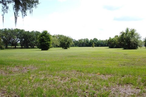 Land in Ocala, Florida № 1885847 - photo 18