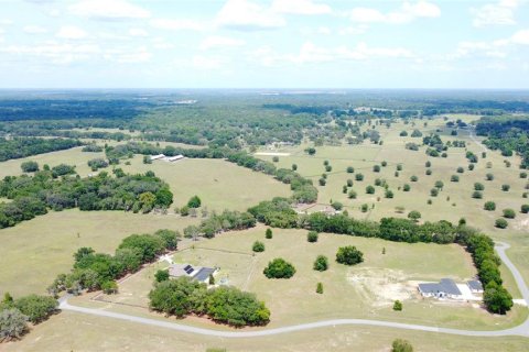 Land in Ocala, Florida № 1885847 - photo 13