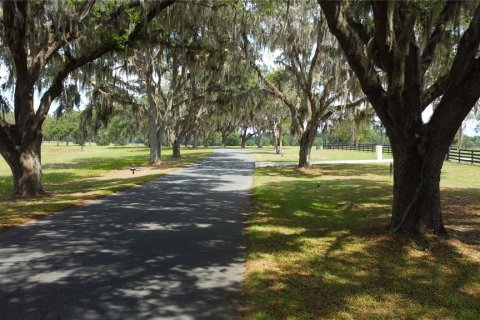 Land in Ocala, Florida № 1885847 - photo 26
