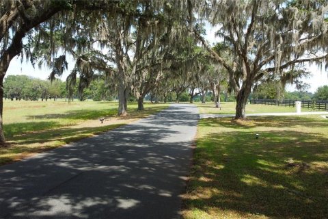 Land in Ocala, Florida № 1885847 - photo 9