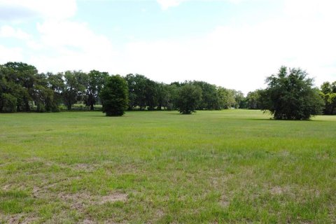 Land in Ocala, Florida № 1885847 - photo 4