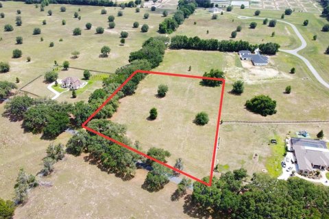 Land in Ocala, Florida № 1885847 - photo 24