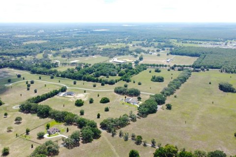 Land in Ocala, Florida № 1885847 - photo 15