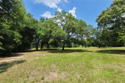 Land in Dade City, Florida № 1745448 - photo 8