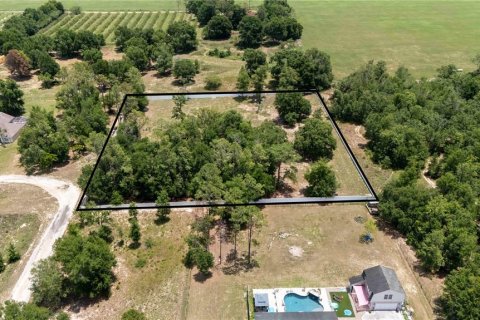 Land in Dade City, Florida № 1745448 - photo 6