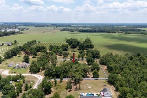 Land in Dade City, Florida № 1745448 - photo 1