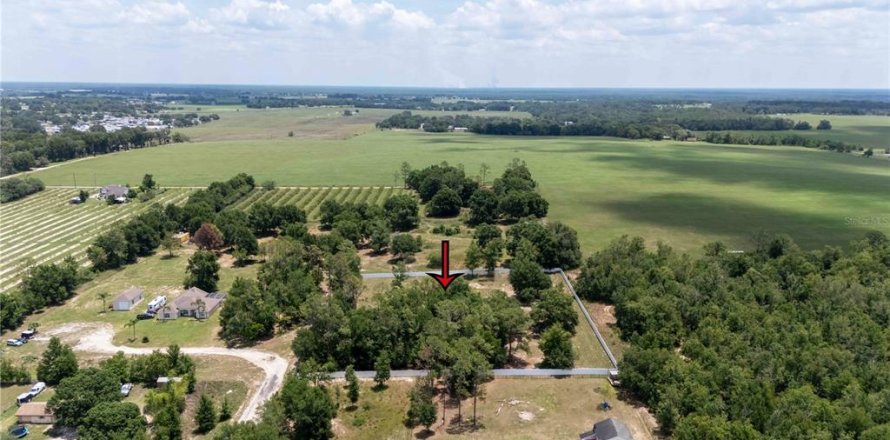 Land in Dade City, Florida № 1745448