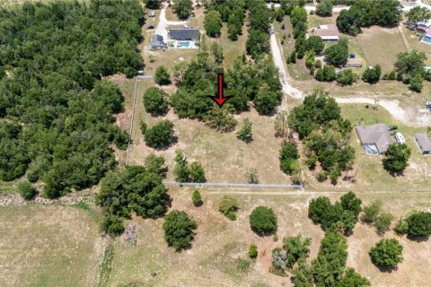 Land in Dade City, Florida № 1745448 - photo 3