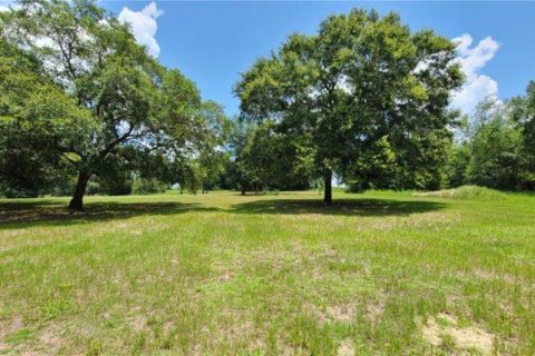 Land in Dade City, Florida № 1745448 - photo 7