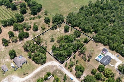 Land in Dade City, Florida № 1745448 - photo 18