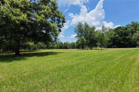 Land in Dade City, Florida № 1745448 - photo 9