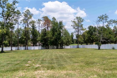 Land in Dade City, Florida № 1745448 - photo 15
