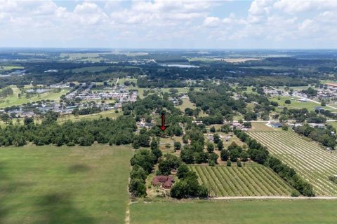 Land in Dade City, Florida № 1745448 - photo 2