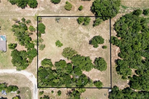 Land in Dade City, Florida № 1745448 - photo 5