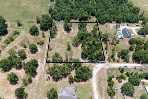 Land in Dade City, Florida № 1745448 - photo 4