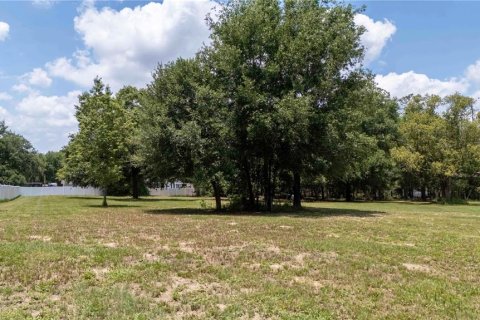 Land in Dade City, Florida № 1745448 - photo 14