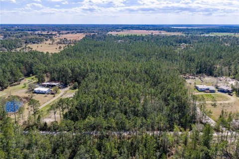 Terreno en venta en De Leon Springs, Florida № 2142313 - foto 6