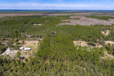 Terreno en venta en De Leon Springs, Florida № 2142313 - foto 5