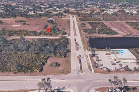Land in Rotonda, Florida № 2202621 - photo 5