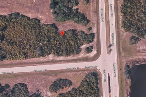Land in Rotonda, Florida № 2202621 - photo 6