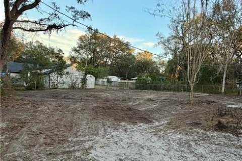 Terrain à Orange City, Floride № 2097812