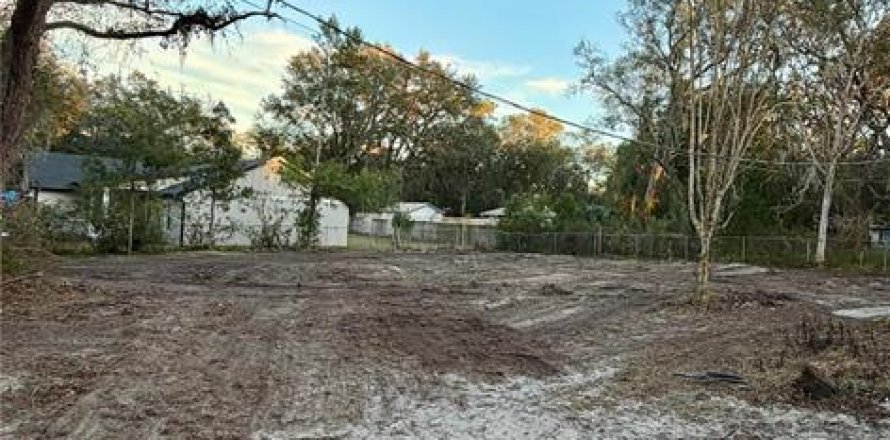 Terrain à Orange City, Floride № 2097812
