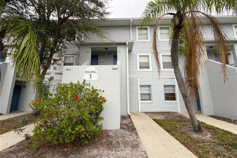Studio in the Condo in Tampa, Florida № 2380485