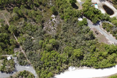 Terreno en venta en Frostproof, Florida № 2205781 - foto 2