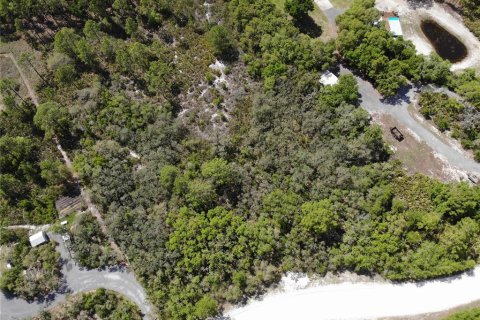 Terreno en Frostproof, Florida № 2205781