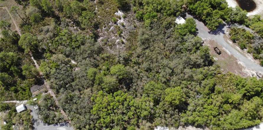 Terreno en Frostproof, Florida № 2205781