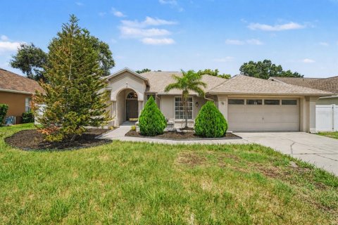 Villa ou maison à Riverview, Floride 4 chambres, 208.47 m2 № 2351596