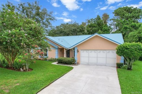 House in Homosassa, Florida 3 bedrooms, 179.02 sq.m. № 1919941 - photo 1