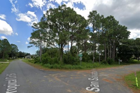 Land in Palm Bay, Florida № 2203270 - photo 10