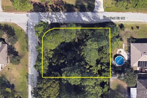 Land in Palm Bay, Florida № 2203270 - photo 3