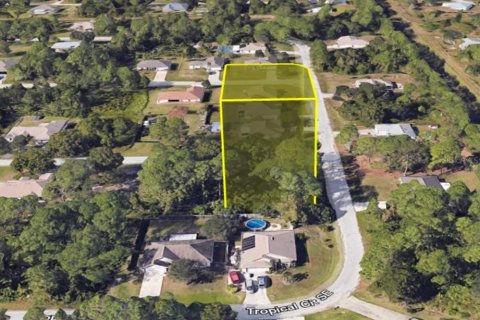 Land in Palm Bay, Florida № 2203270 - photo 6