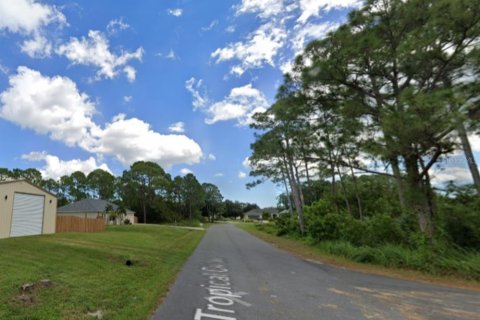 Land in Palm Bay, Florida № 2203270 - photo 12