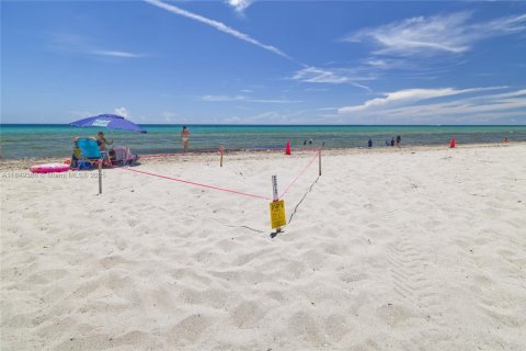 Copropriété à vendre à Hollywood, Floride: 1 chambre, 76.18 m2 № 2017374 - photo 24