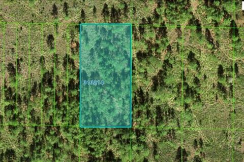 Terreno en Frostproof, Florida № 2164030