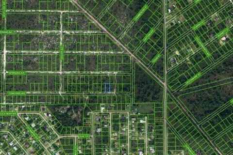 Land in Lake Placid, Florida № 2160239