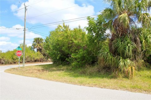 Land in Port Charlotte, Florida № 2101985 - photo 6
