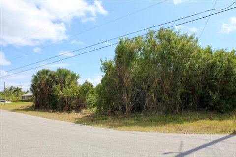 Land in Port Charlotte, Florida № 2101985 - photo 16
