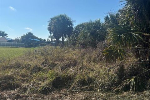 Land in Port Charlotte, Florida № 2101985 - photo 12