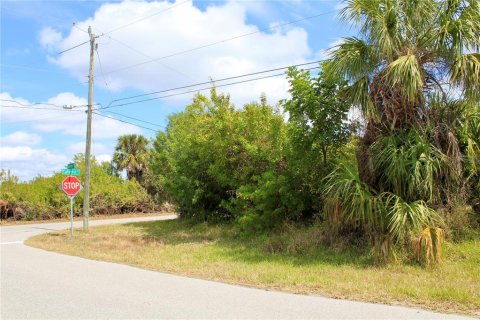 Land in Port Charlotte, Florida № 2101985 - photo 10