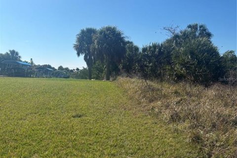 Land in Port Charlotte, Florida № 2101985 - photo 18