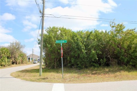 Land in Port Charlotte, Florida № 2101985 - photo 23