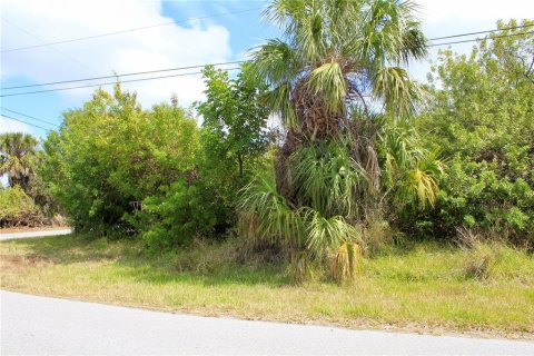Land in Port Charlotte, Florida № 2101985 - photo 7