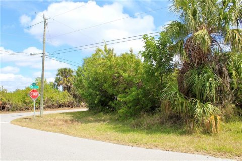 Land in Port Charlotte, Florida № 2101985 - photo 2