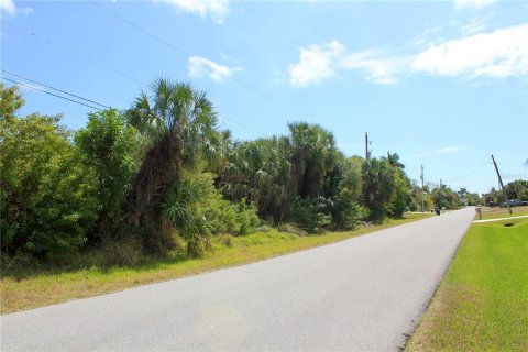 Land in Port Charlotte, Florida № 2101985 - photo 24