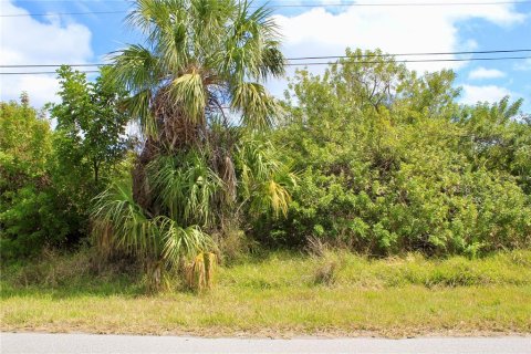 Land in Port Charlotte, Florida № 2101985 - photo 8