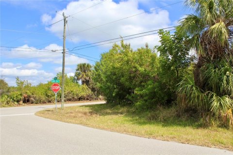 Land in Port Charlotte, Florida № 2101985 - photo 9